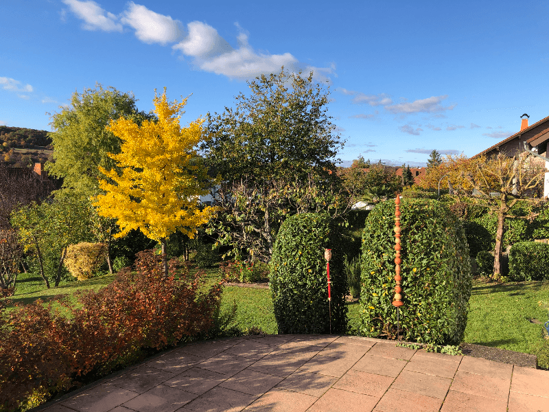 Bild 9