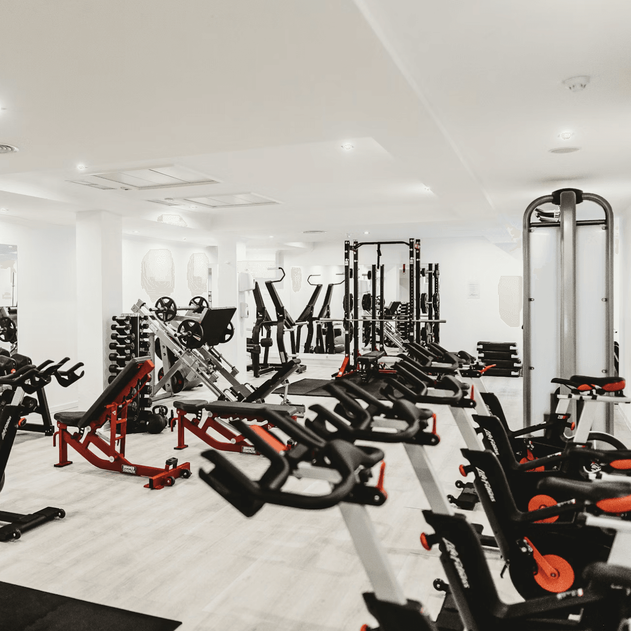 Unser Studio bietet alles, was das Herz begehrt